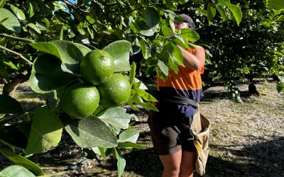 Statement on Federal Election Result