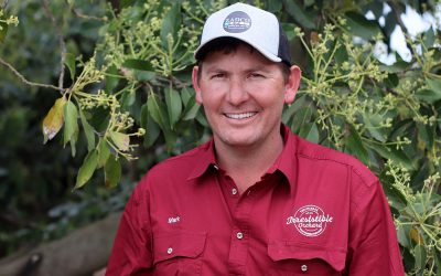 Field Days to Showcase the New and the Old